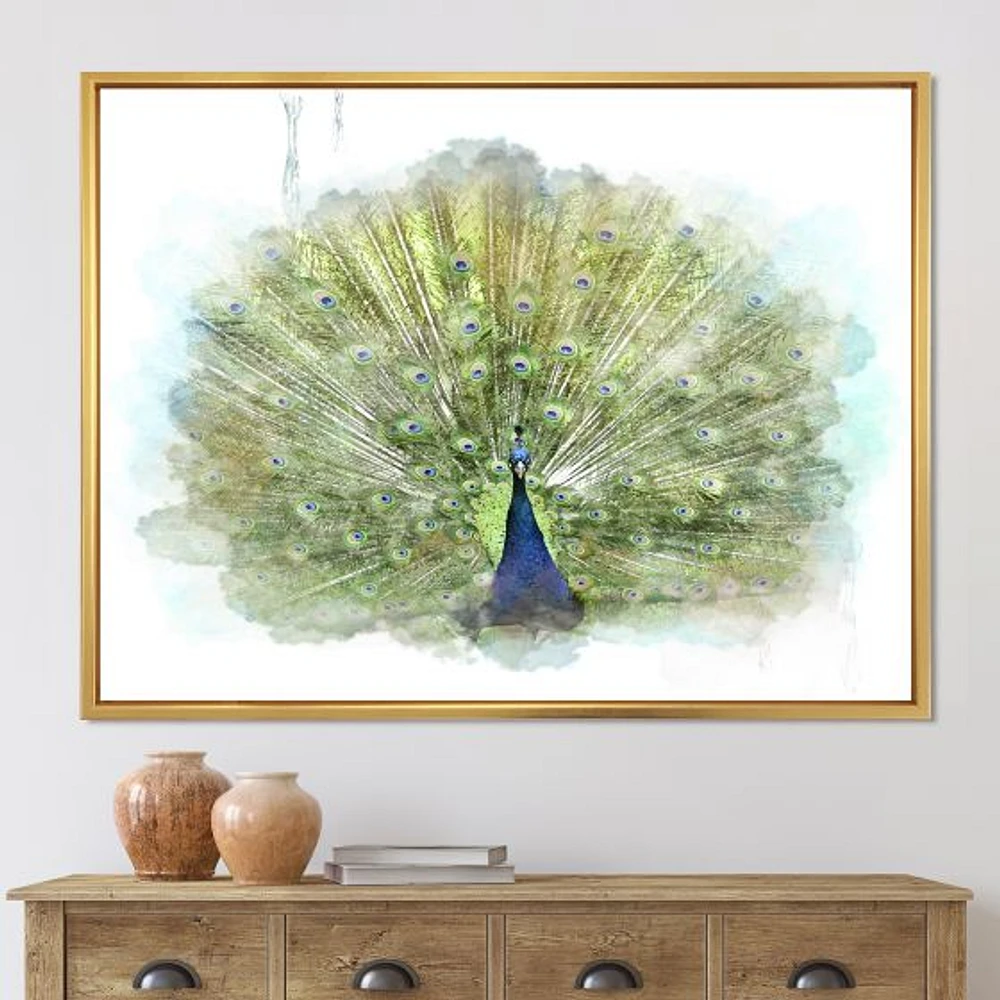 Peacock Bird  Wall Art