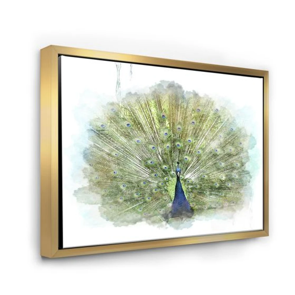 Peacock Bird  Wall Art