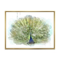 Peacock Bird  Wall Art