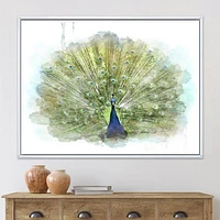 Peacock Bird  Wall Art