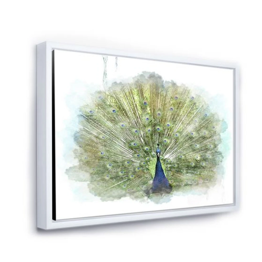 Peacock Bird  Wall Art