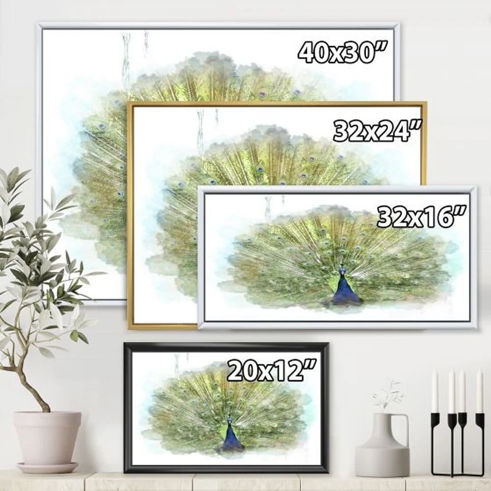 Peacock Bird  Wall Art