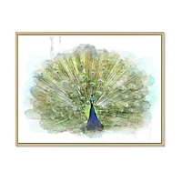 Peacock Bird  Wall Art