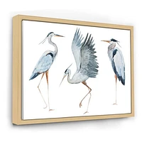 Toile « Heron Birds II