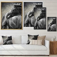 Toile imprimée « Portrait of A Black Horse »