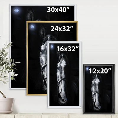Horse Staring Sinister  Wall Art