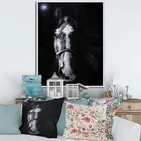 Toile « Horse Staring Sinister »