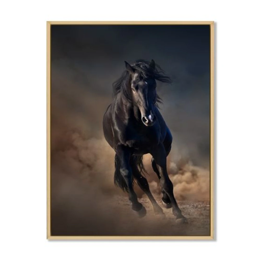 Toile « Portrait of Thoroughbred Nonius Stallion Horse I »