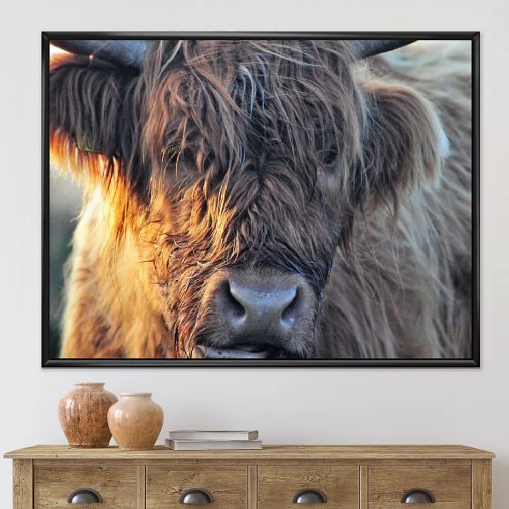 Scottish Cow on Moorland III  Canvas Wall Art Print