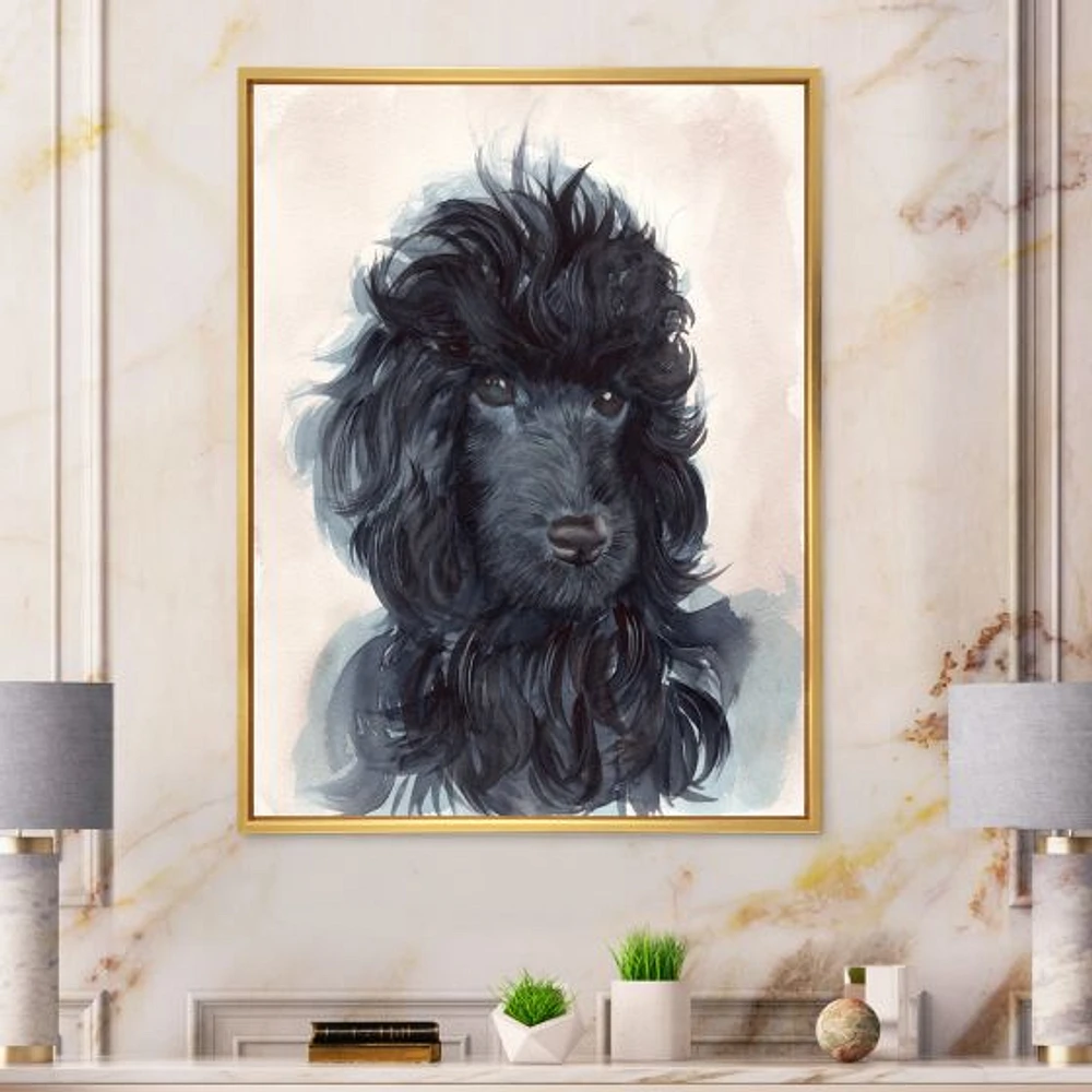 Toile imprimée « Portrait of The Black Poodle Puppy with Curly Coat »