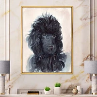 Toile imprimée « Portrait of The Black Poodle Puppy with Curly Coat »