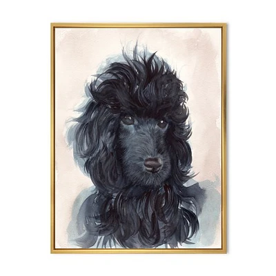 Portrait of The Black Poodle Puppy with Curly Coat  Canvas Wall Art Print