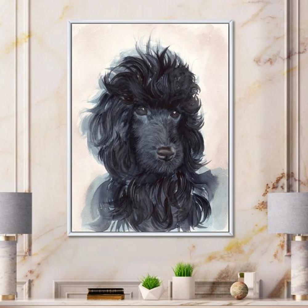 Toile imprimée « Portrait of The Black Poodle Puppy with Curly Coat »