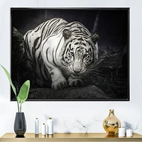 White Tiger  Wall Art