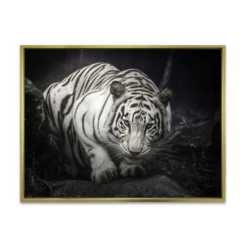 White Tiger  Wall Art