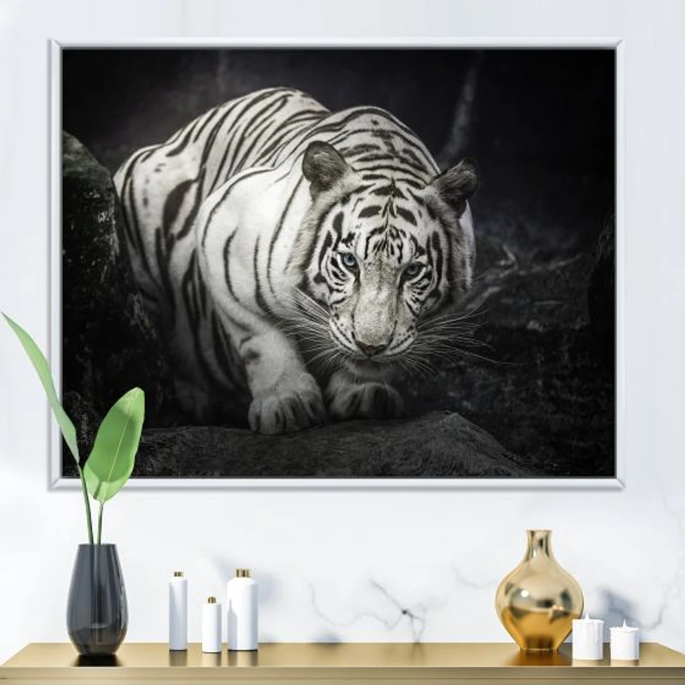 White Tiger  Wall Art