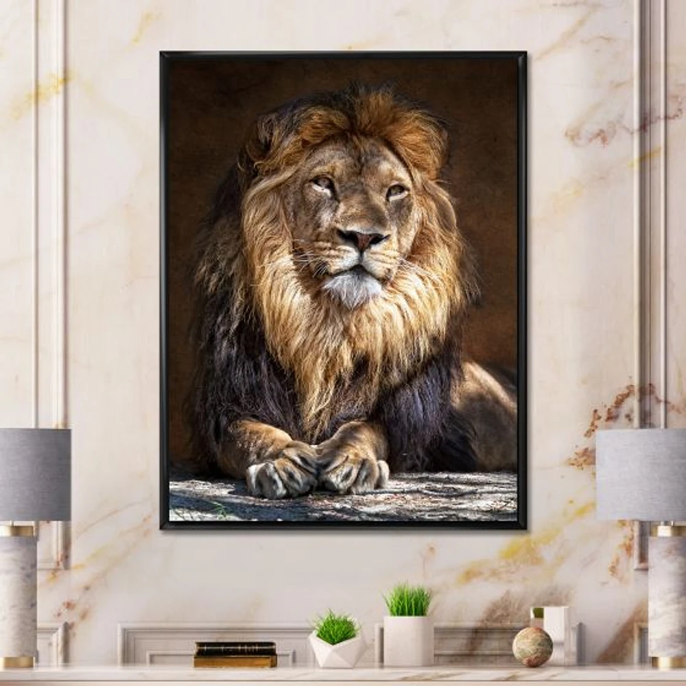 Toile « King Lion with Lighted Face »