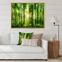 Toile « Forest with Rays of Sun Panorama »