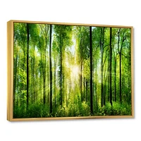 Forest with Rays of Sun Panorama  Wall Art