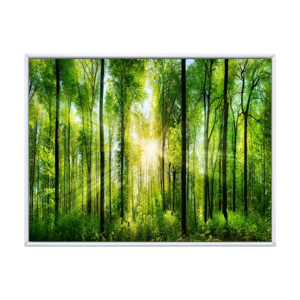 Forest with Rays of Sun Panorama  Wall Art