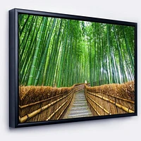 Path to Bamboo Forest  Wall Art