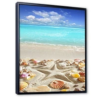 Caribbean Sea Starfish  Canvas Wall Art Print