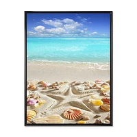 Caribbean Sea Starfish  Canvas Wall Art Print