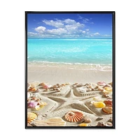 Caribbean Sea Starfish  Canvas Wall Art Print