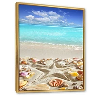 Caribbean Sea Starfish  Canvas Wall Art Print