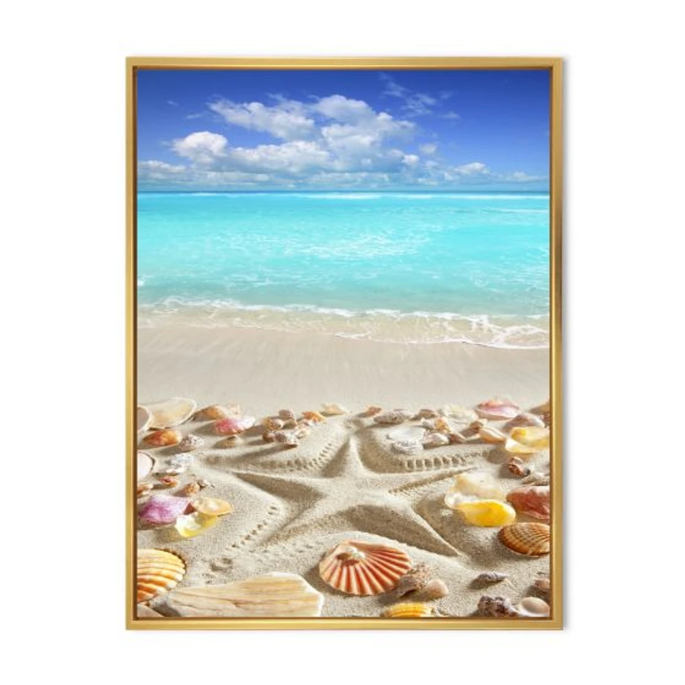 Caribbean Sea Starfish  Canvas Wall Art Print