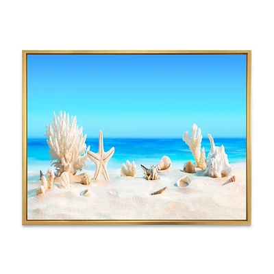 Seashells on Tropical  Wall Art