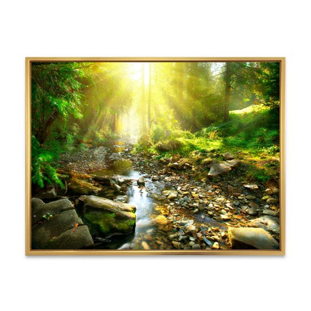 Mountain Stream Forest  Wall Art