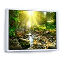 Mountain Stream Forest  Wall Art