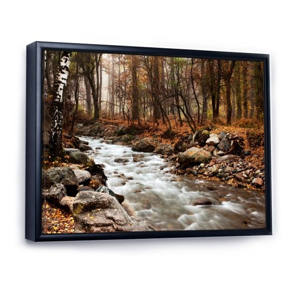 Stream Autumn Forest  Canvas Print