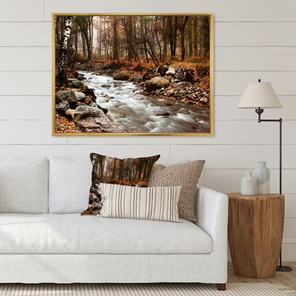 Stream Autumn Forest  Canvas Print