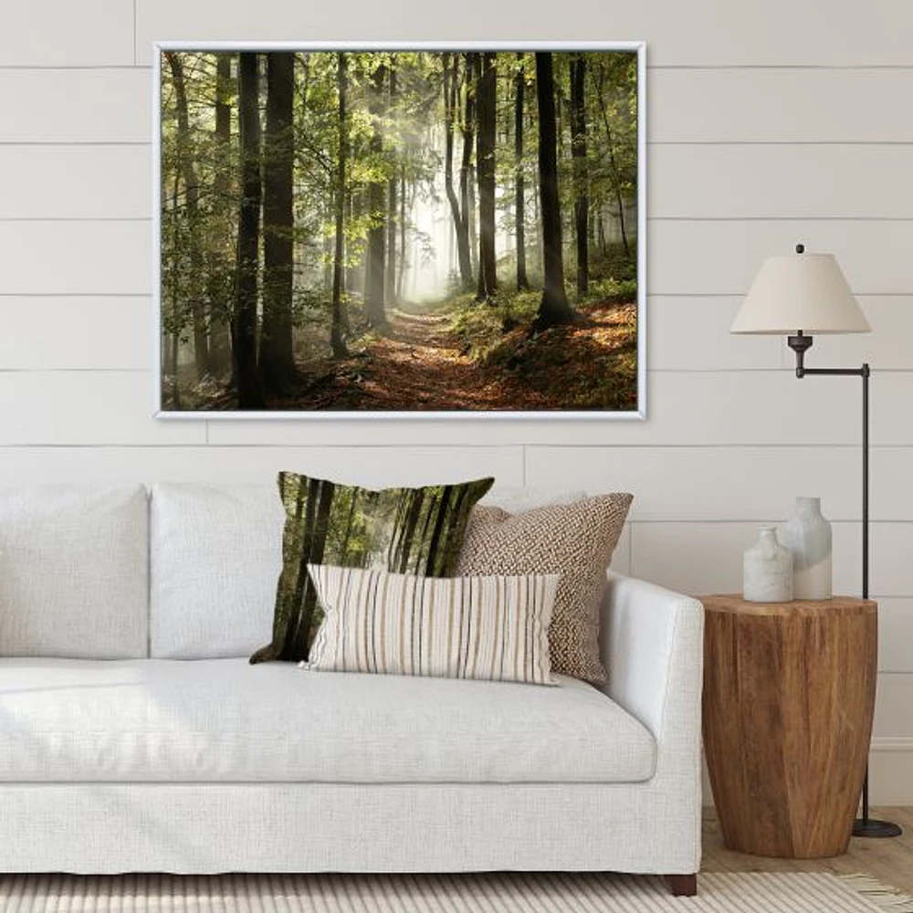 Green Fall Forest with Sun Rays  Canvas Print