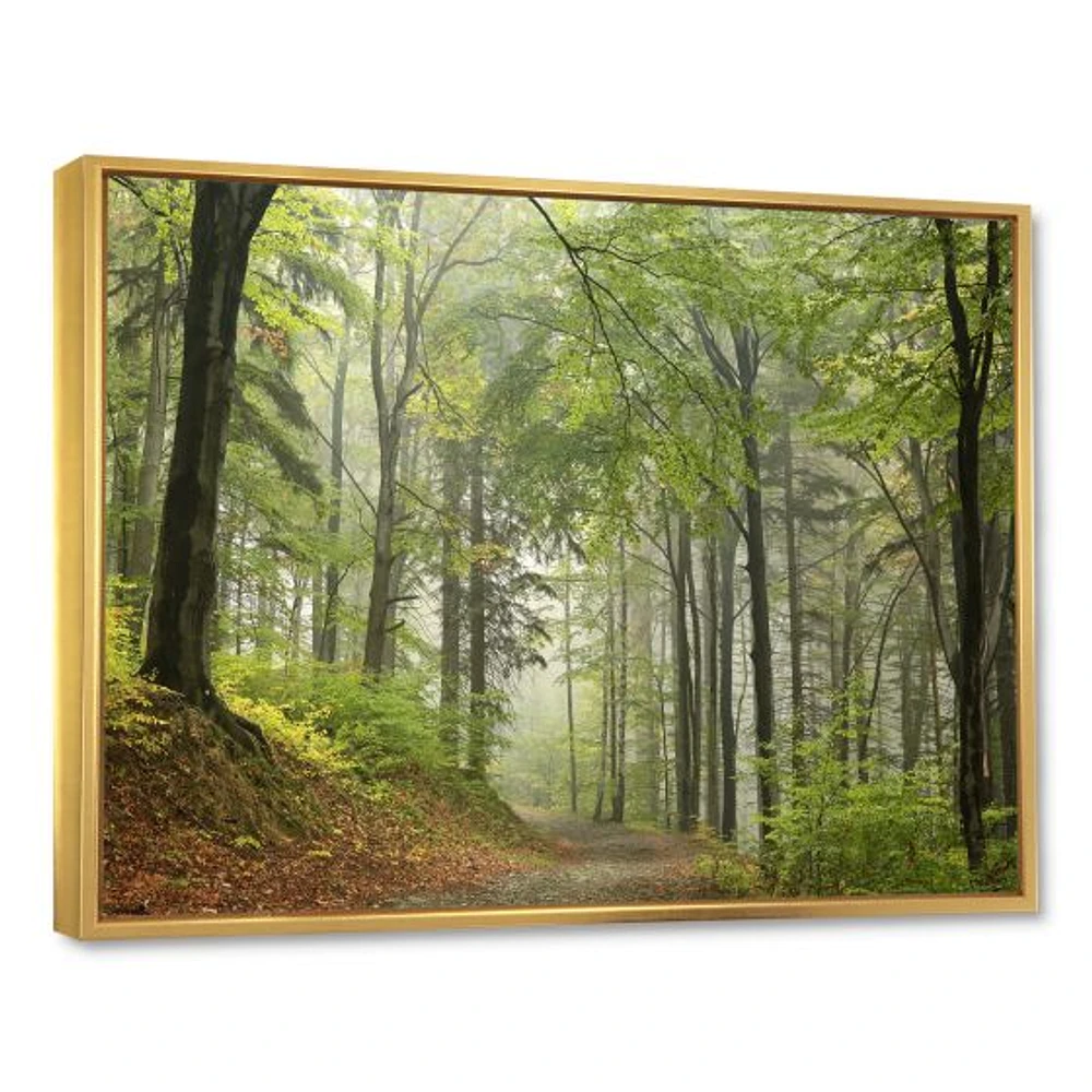 Toile « Green Beach Forest Pathway