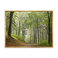 Toile « Green Beach Forest Pathway