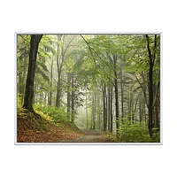 Toile « Green Beach Forest Pathway