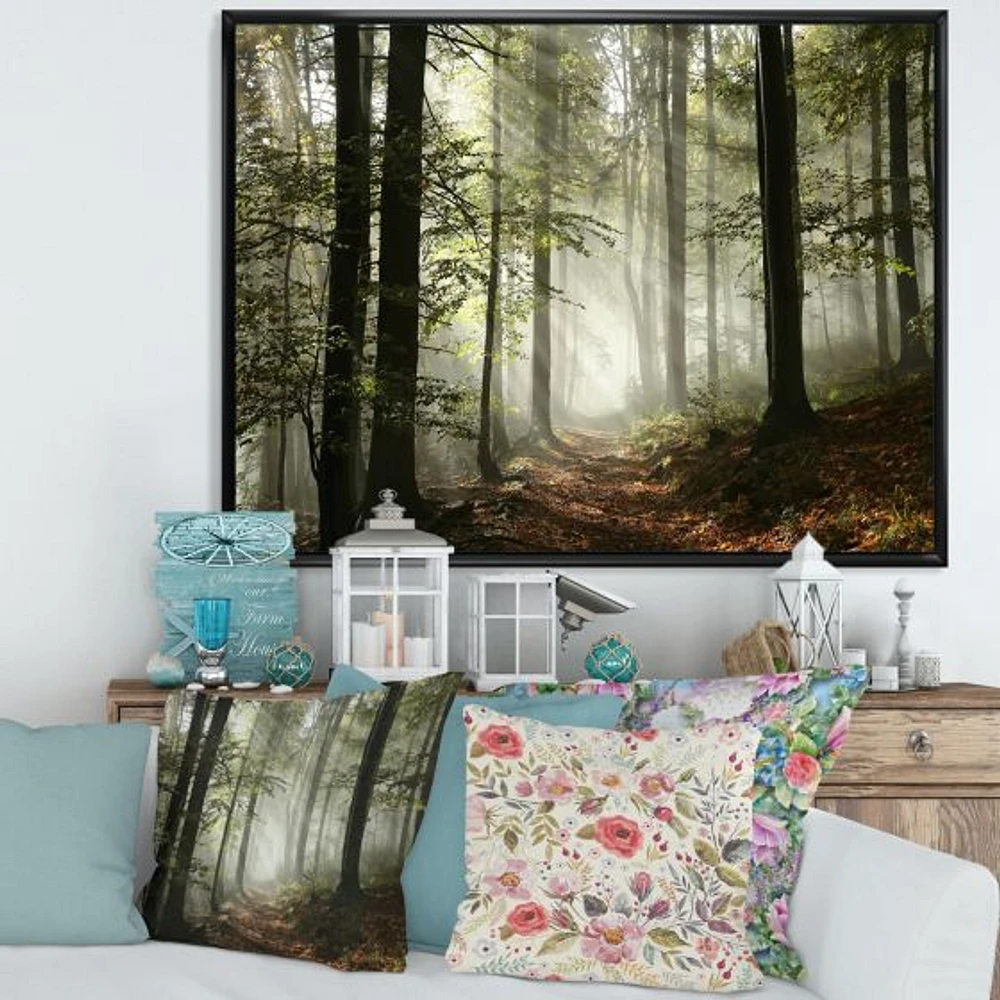 Light Dense Fall Forest with Fog  Canvas Art Print