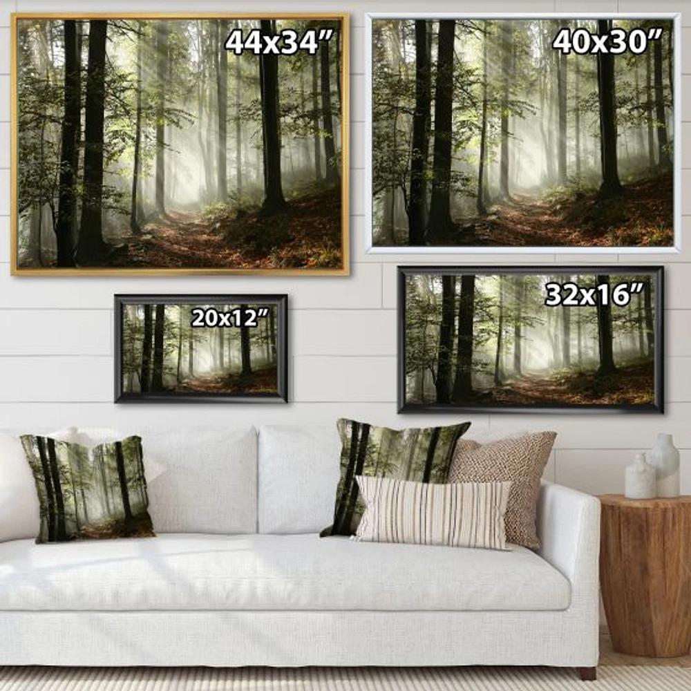 Light Dense Fall Forest with Fog  Canvas Art Print