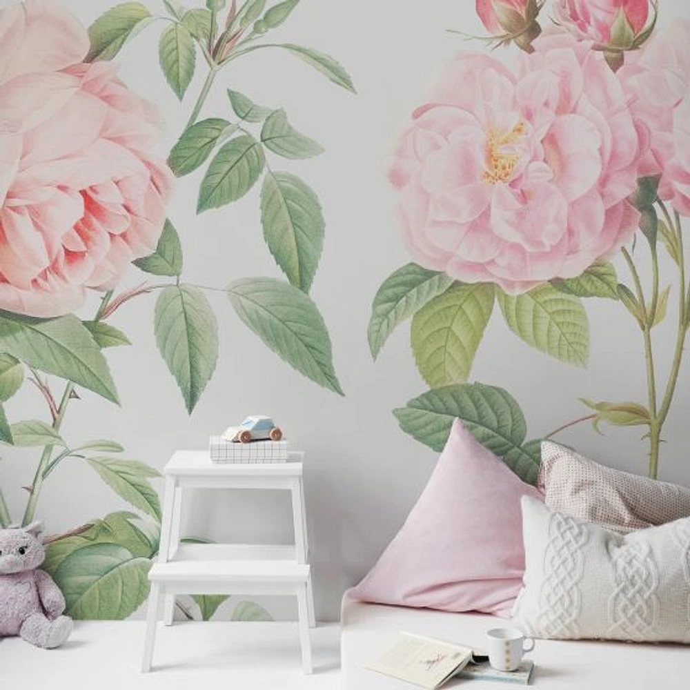 Fragrant Rosebush Wallpaper Mural