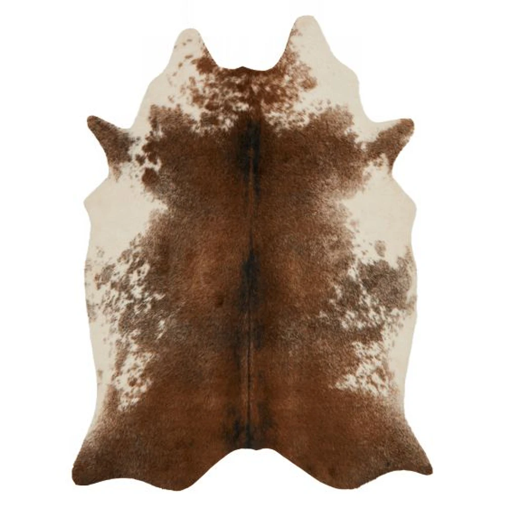 Loloi II Grand Canyon Rug