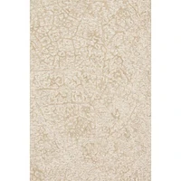 Loloi Juneau Rug