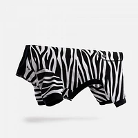 Dog's Pack of 2 Pyjamas by SilverPaw - Zebra Print and Red Waffle