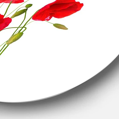 Isolated Red Poppy Flowers Round Wall Art