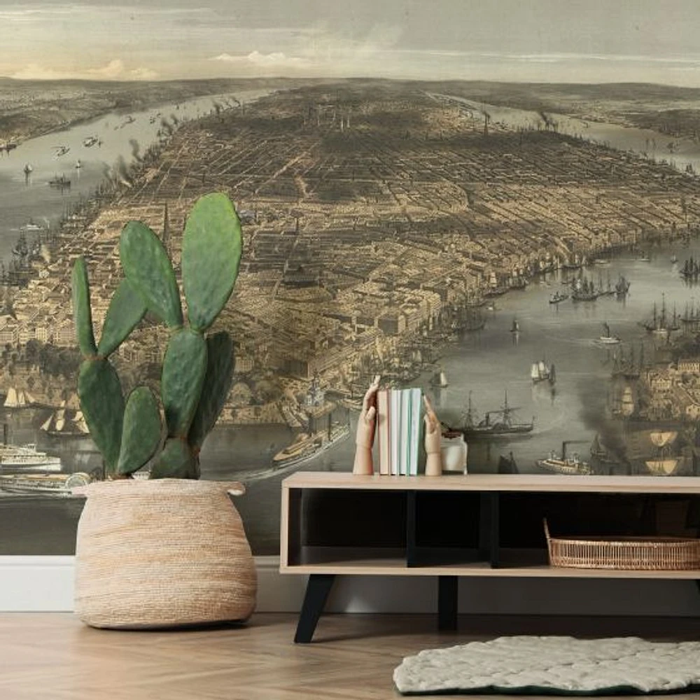 New York 1856 Wallpaper Mural