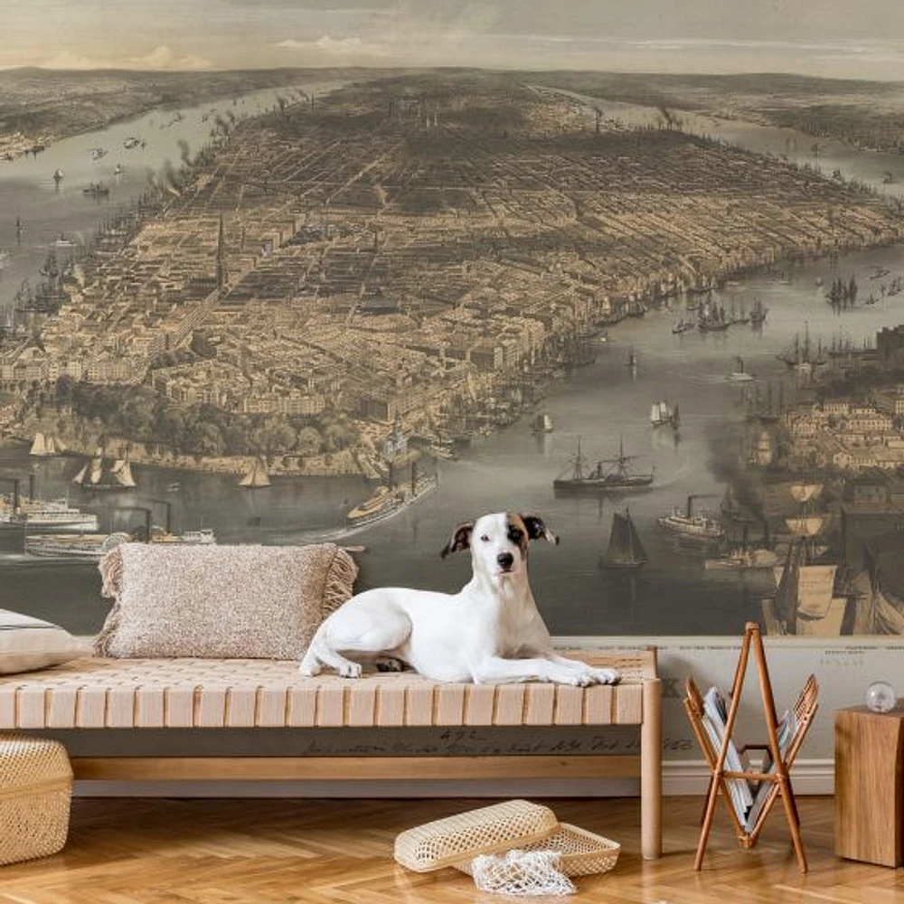 New York 1856 Wallpaper Mural