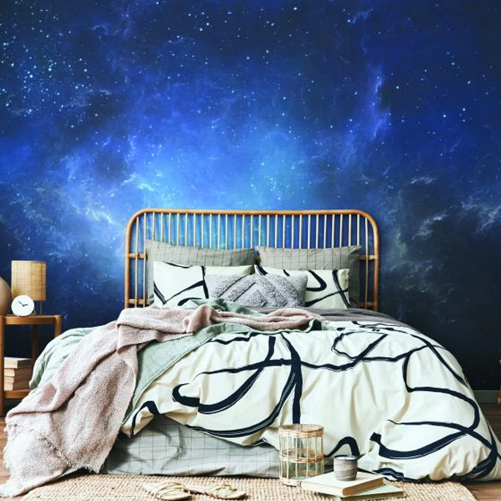 Night Sky With Nebula Wallpaper Mural