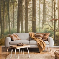 Northern Sun Light Forest Wallpaper Mural